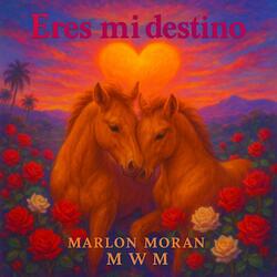 eres mi destino