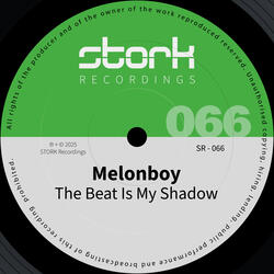 The Beat Is My Shadow