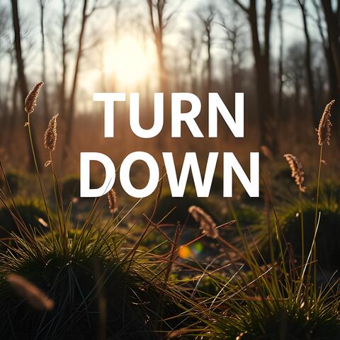 Turn Down