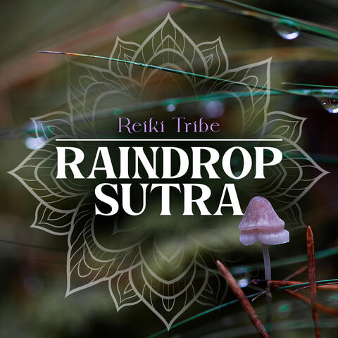 Raindrop Sutra