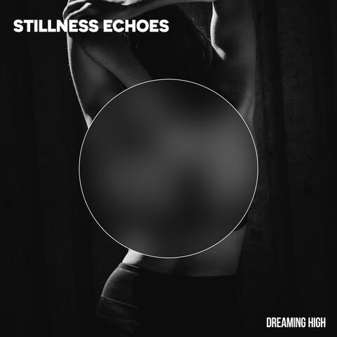 Stillness Echoes