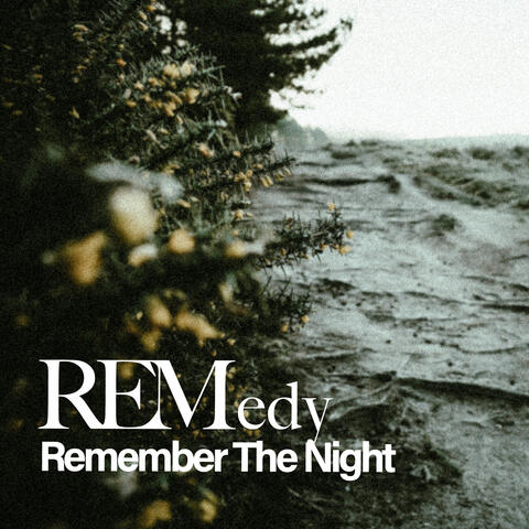 Remember The Night