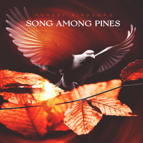 Song Among Pines
