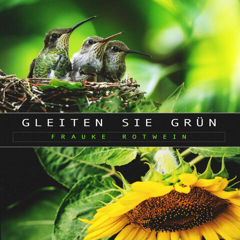 Gleiten Sie Grün