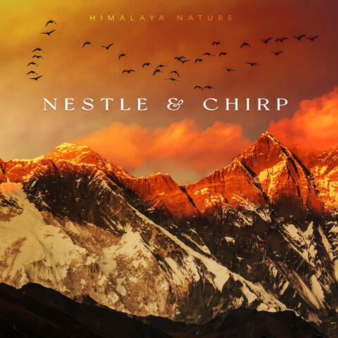 Nestle & Chirp