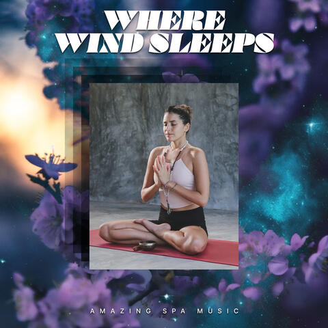 Where Wind Sleeps