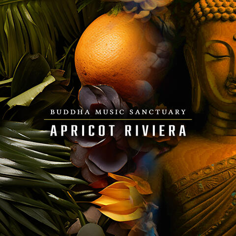 Apricot Riviera