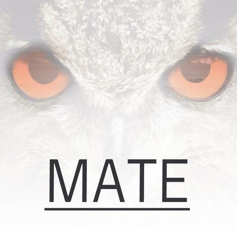 Mate