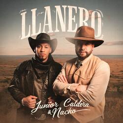 Llanero