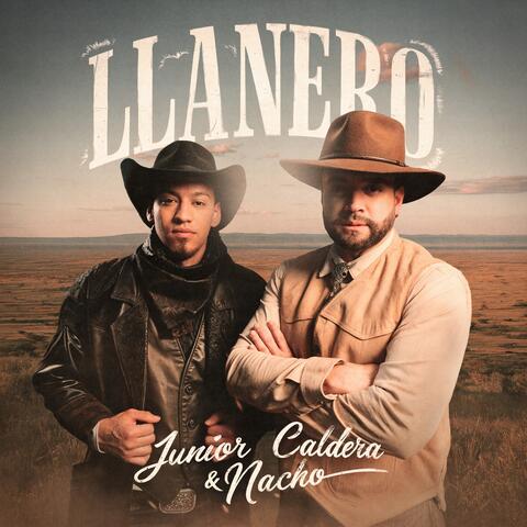 Llanero