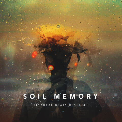 Soil Memory