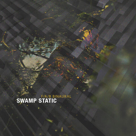 Swamp Static