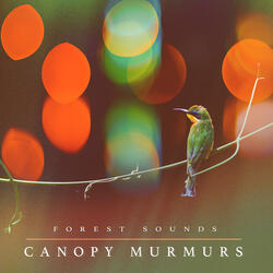 Lazy Sunday Bird Song
