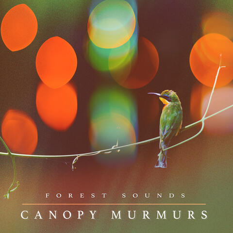 Canopy Murmurs