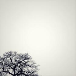 As Beautiful as This One