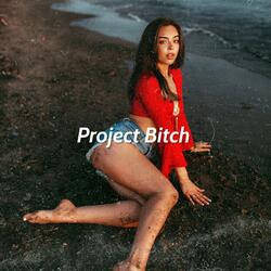 Project Bitch