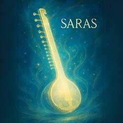 Sitar 2040