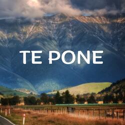 Te pone