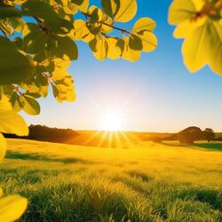 Toward a bright future