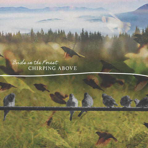 Chirping Above