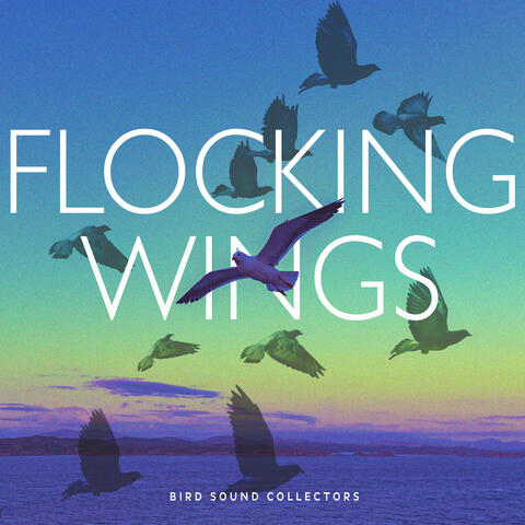 Flocking Wings