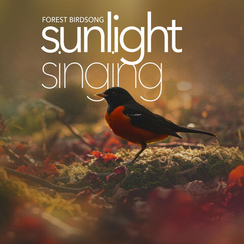 Sunlight Singing