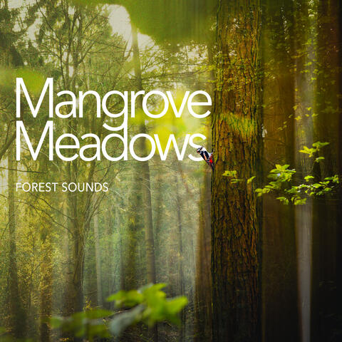 Mangrove Meadows