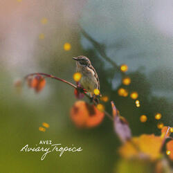 Alive Tranquility
