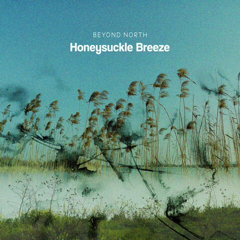 Honeysuckle Breeze