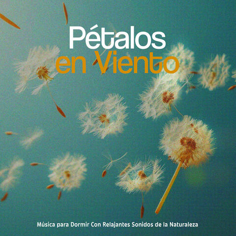 Pétalos en Viento