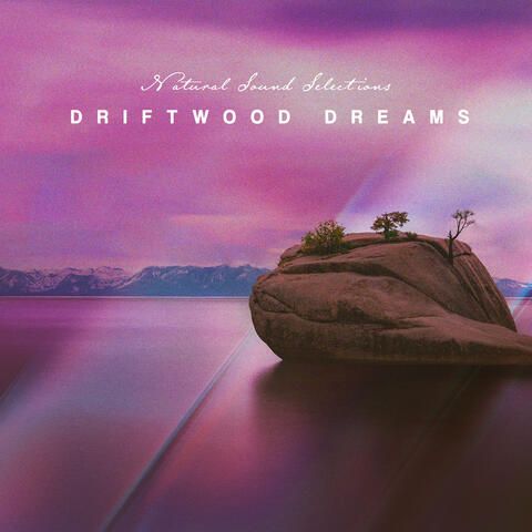 Driftwood Dreams