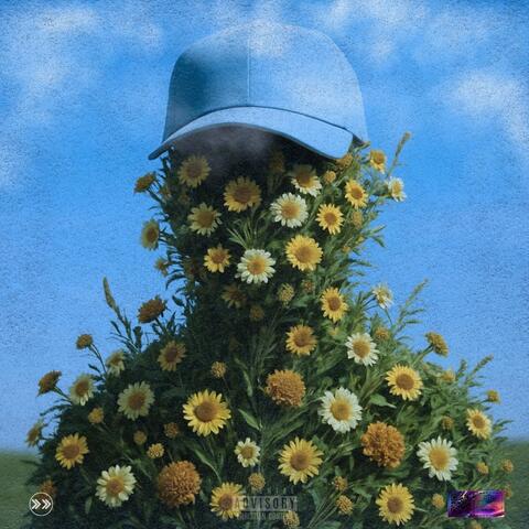 TERRA E MILAGRE - EP