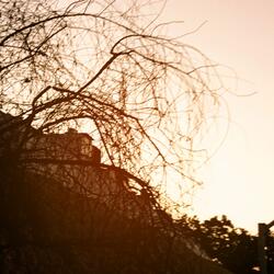 Uma estrela e um cometa