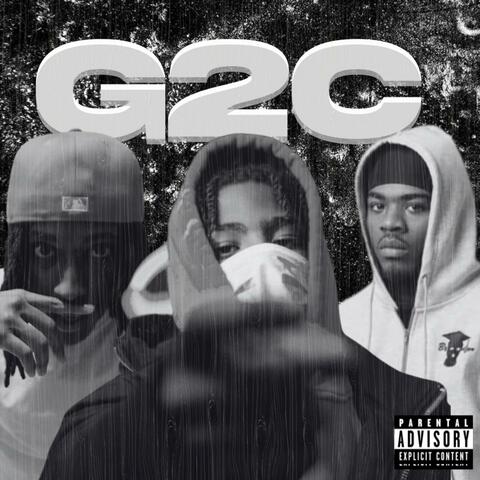 G2C