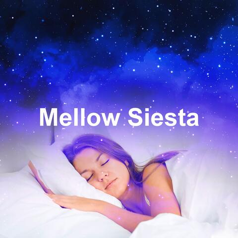 Mellow Siesta