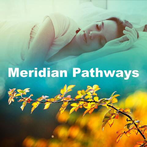 Meridian Pathways