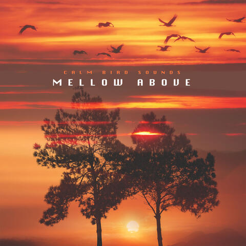 Mellow Above