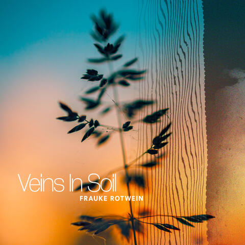 Veins In Soil