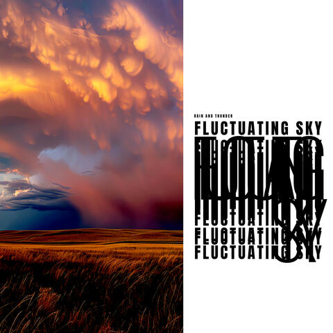 Fluctuating Sky