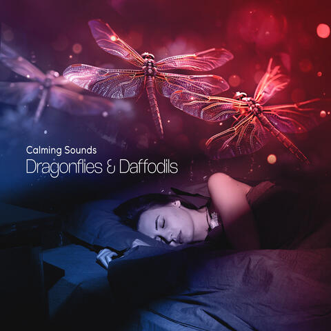 Dragonflies & Daffodils