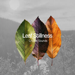 Understand Seemless