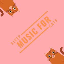 Soft Music for Cats