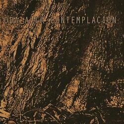 En un Bosque Recien Escampado