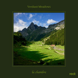 Verdant Meadows
