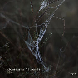 Gossamer Threads