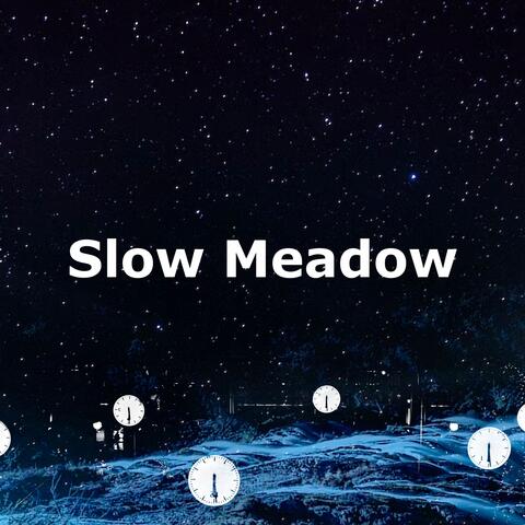 Slow Meadow