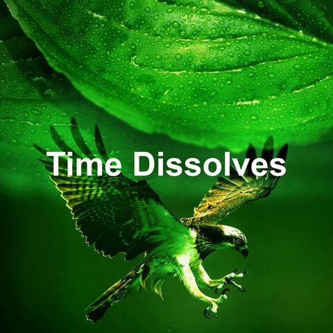 Time Dissolves