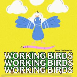 Working Birds