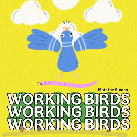 Working Birds