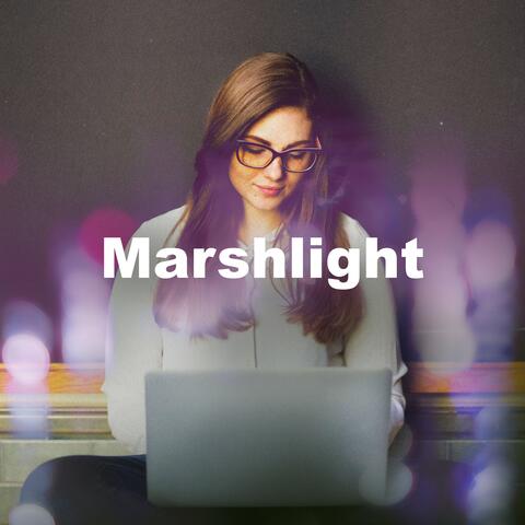 Marshlight